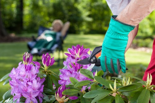 Person using a keyboard to navigate a Woolwich gardening event signup page