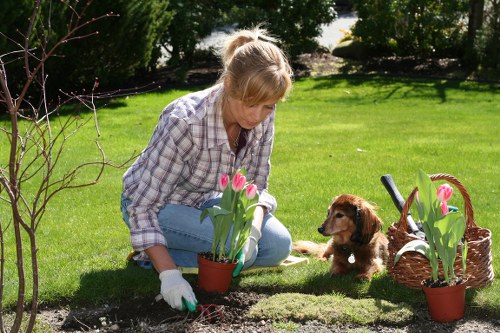 Volunteer demonstrating audio description for a Woolwich gardening workshop